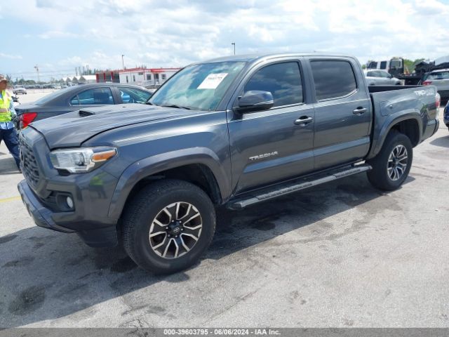 Photo 1 VIN: 3TMCZ5AN4LM337010 - TOYOTA TACOMA 