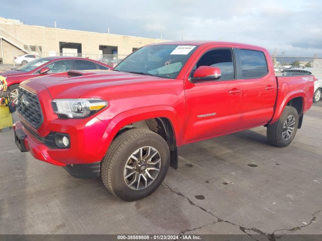 Photo 1 VIN: 3TMCZ5AN4NM484043 - TOYOTA TACOMA 