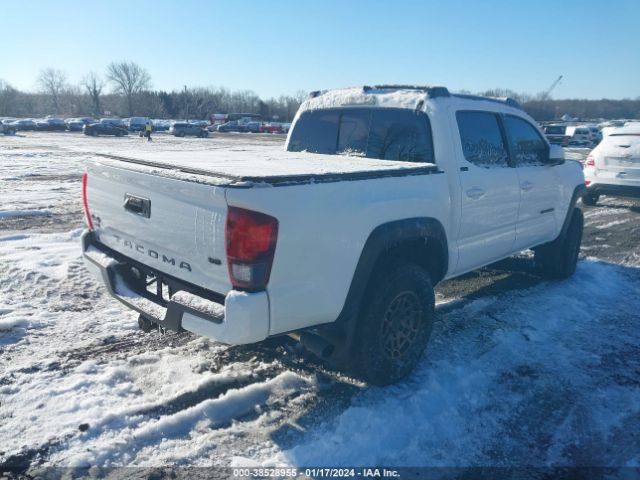 Photo 3 VIN: 3TMCZ5AN4PM566583 - TOYOTA TACOMA 