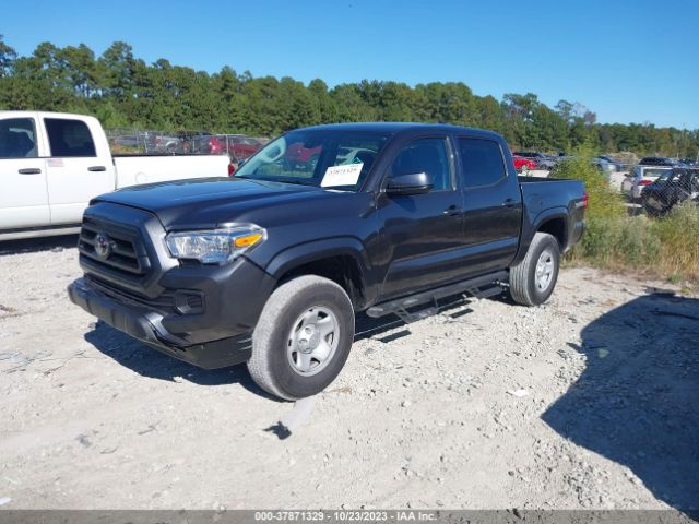 Photo 1 VIN: 3TMCZ5AN4PM607973 - TOYOTA TACOMA 4WD 