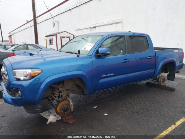 Photo 5 VIN: 3TMCZ5AN5GM032654 - TOYOTA TACOMA 