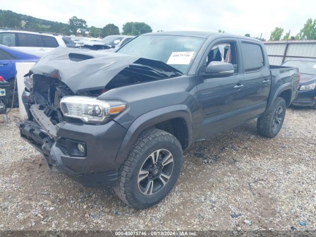 Photo 1 VIN: 3TMCZ5AN5JM185994 - TOYOTA TACOMA 