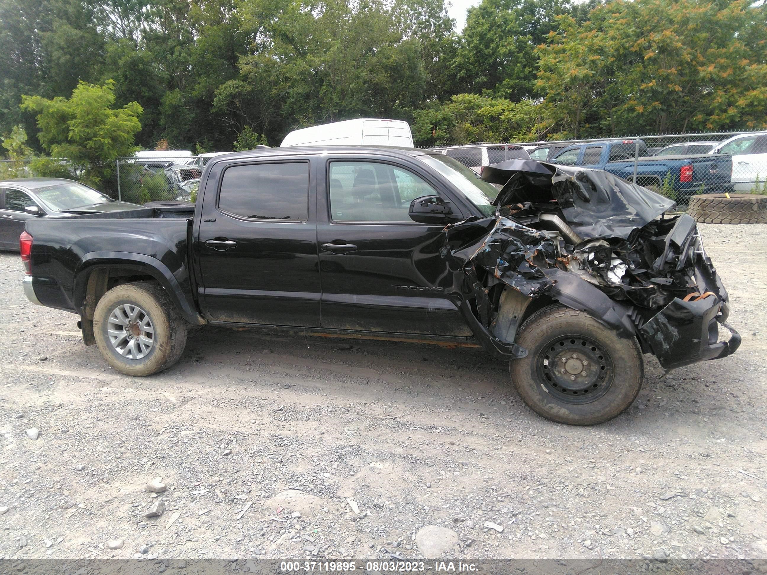 Photo 12 VIN: 3TMCZ5AN5KM280458 - TOYOTA TACOMA 