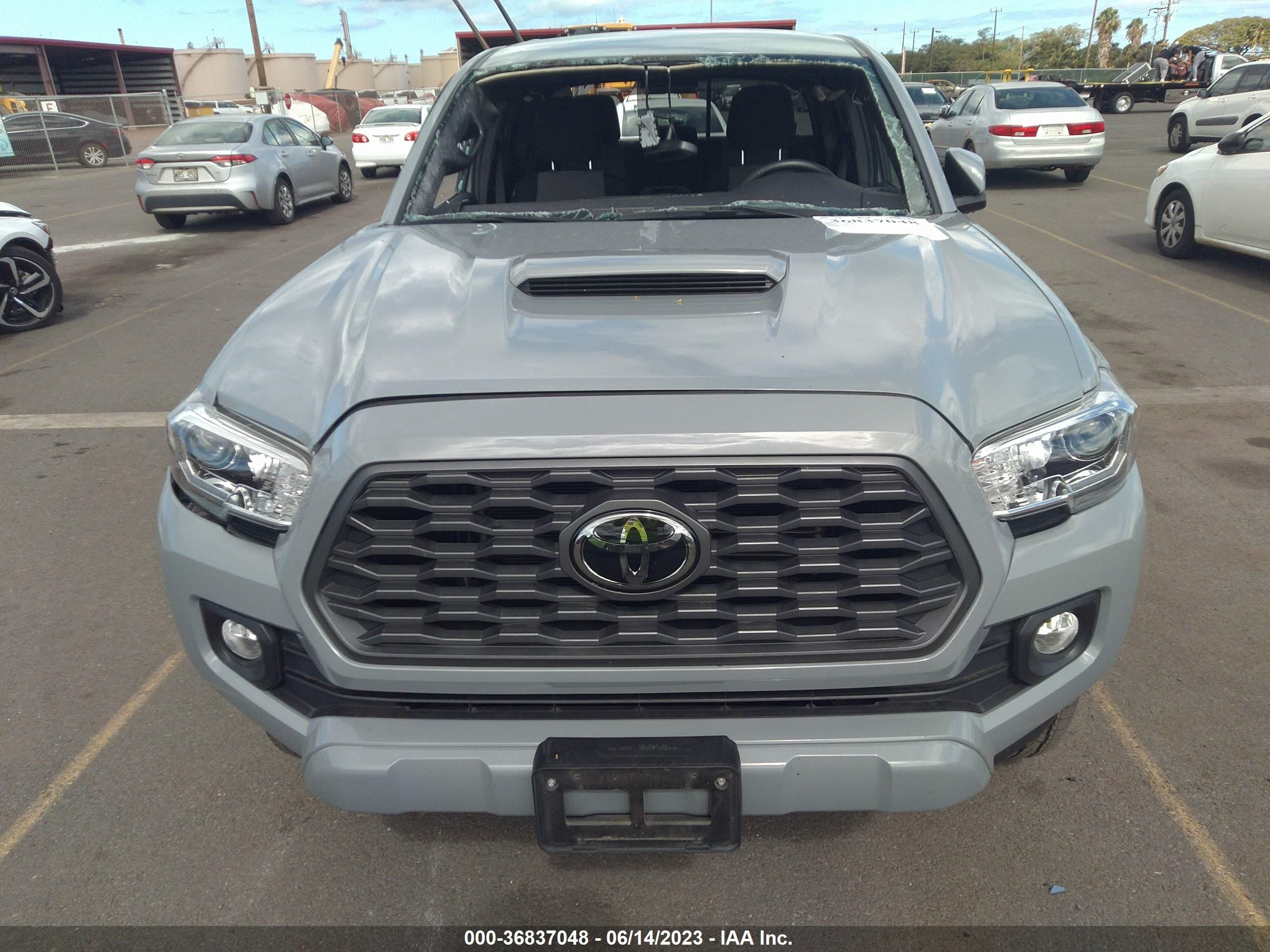 Photo 10 VIN: 3TMCZ5AN5LM309345 - TOYOTA TACOMA 