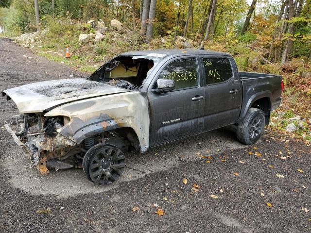 Photo 0 VIN: 3TMCZ5AN5LM351904 - TOYOTA TACOMA 