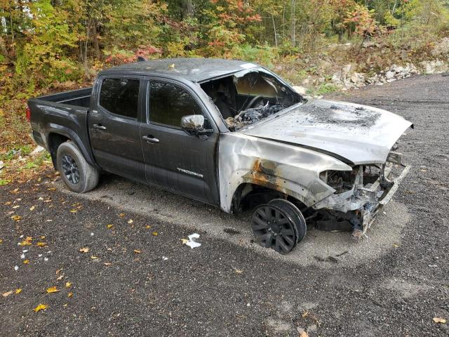 Photo 3 VIN: 3TMCZ5AN5LM351904 - TOYOTA TACOMA 