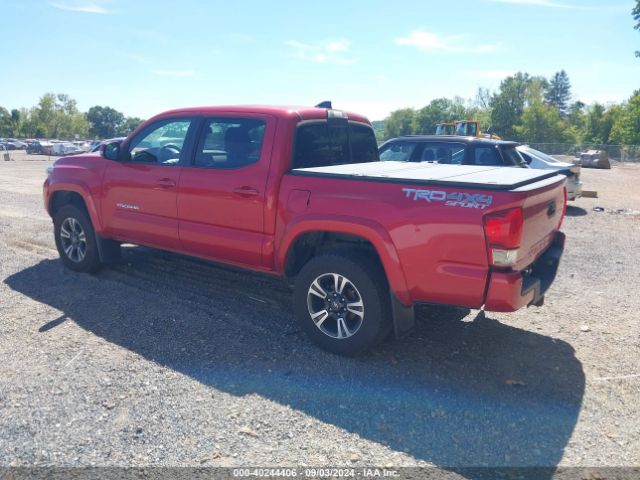 Photo 2 VIN: 3TMCZ5AN6GM030525 - TOYOTA TACOMA 