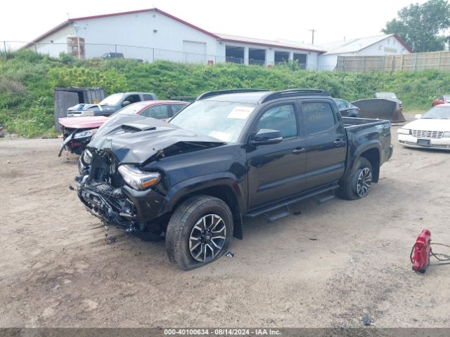 Photo 1 VIN: 3TMCZ5AN6LM317051 - TOYOTA TACOMA 