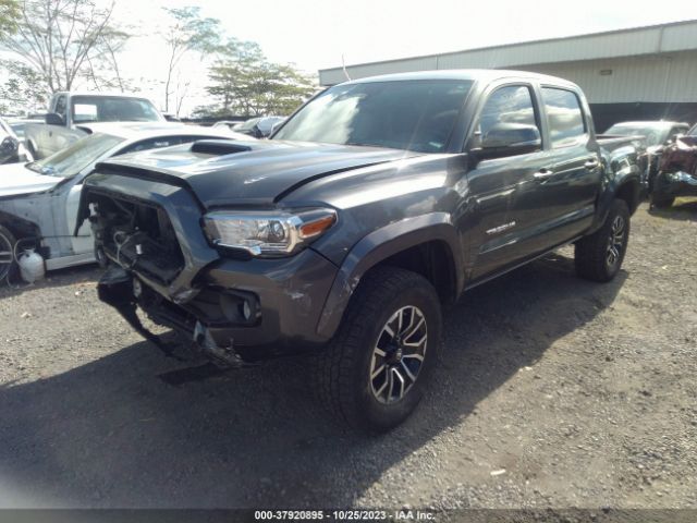 Photo 1 VIN: 3TMCZ5AN6LM345982 - TOYOTA TACOMA 