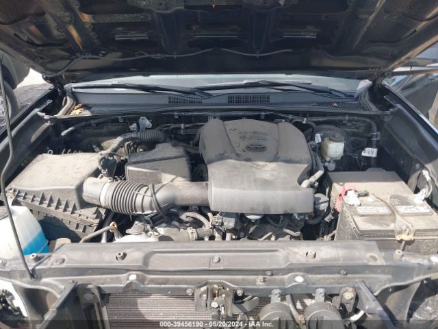 Photo 9 VIN: 3TMCZ5AN6LM361390 - TOYOTA TACOMA 