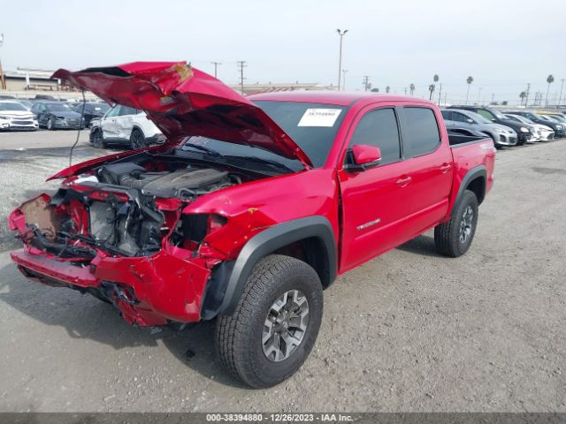 Photo 1 VIN: 3TMCZ5AN6PM564480 - TOYOTA TACOMA 4WD 