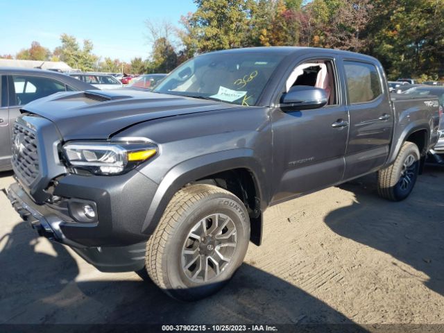 Photo 1 VIN: 3TMCZ5AN6PM629263 - TOYOTA TACOMA 4WD 