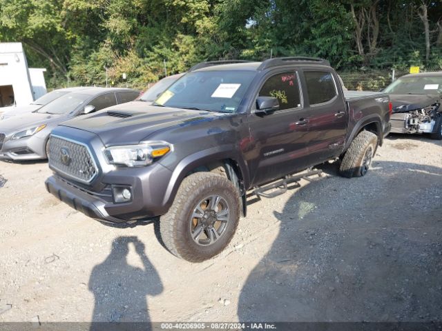 Photo 1 VIN: 3TMCZ5AN7JM182773 - TOYOTA TACOMA 