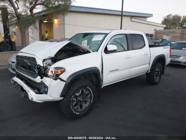 Photo 1 VIN: 3TMCZ5AN7KM243265 - TOYOTA TACOMA 