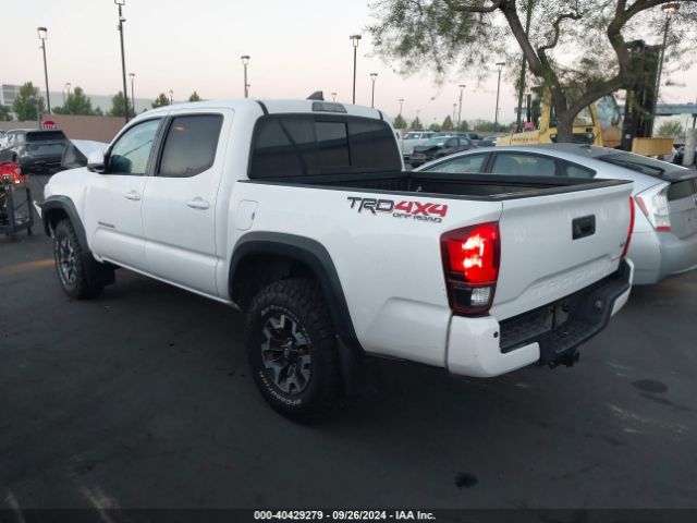 Photo 2 VIN: 3TMCZ5AN7KM243265 - TOYOTA TACOMA 