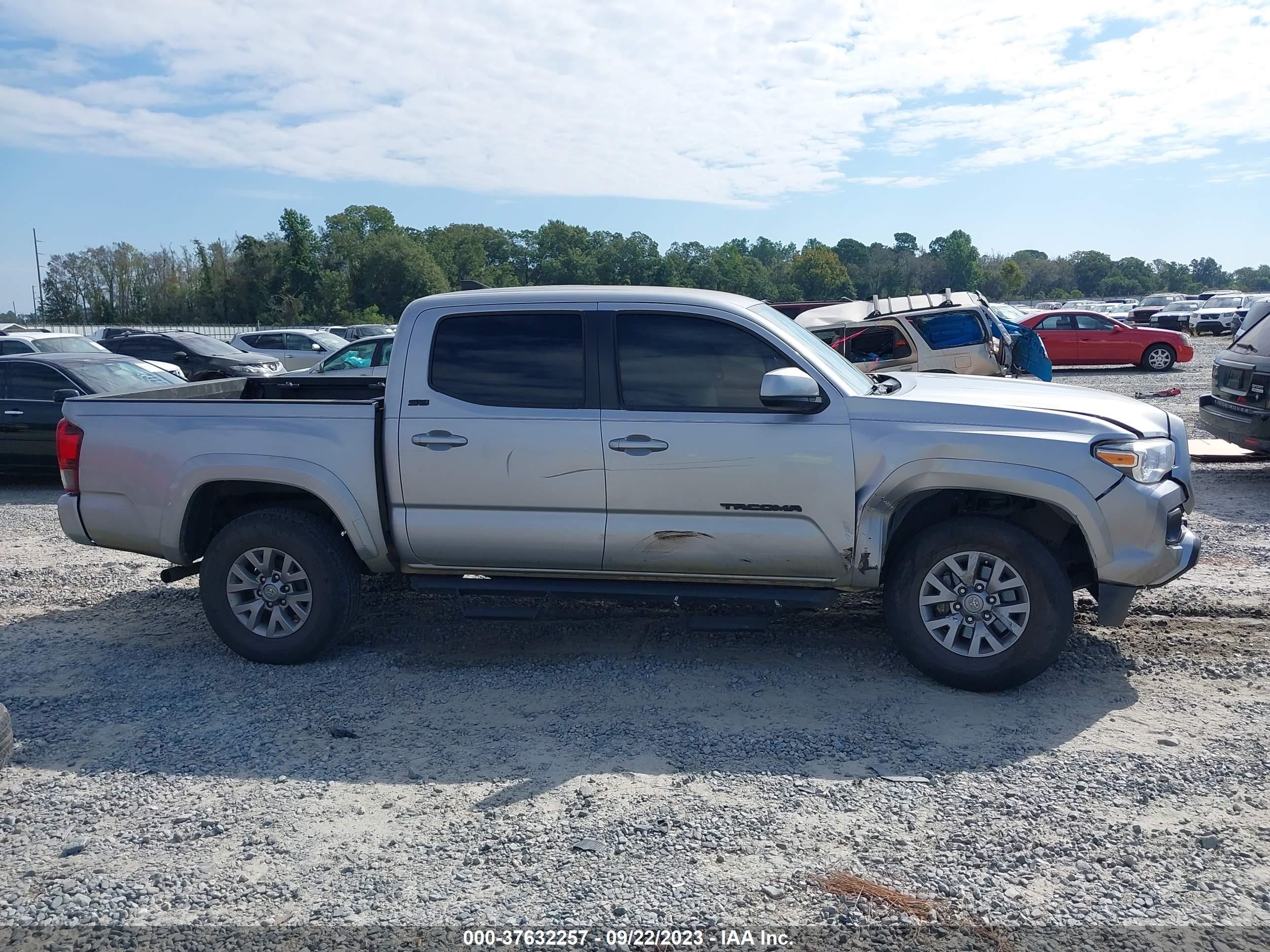 Photo 12 VIN: 3TMCZ5AN7KM247266 - TOYOTA TACOMA 