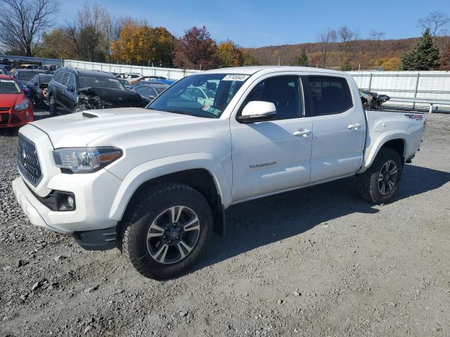 Photo 0 VIN: 3TMCZ5AN7KM248031 - TOYOTA TACOMA 