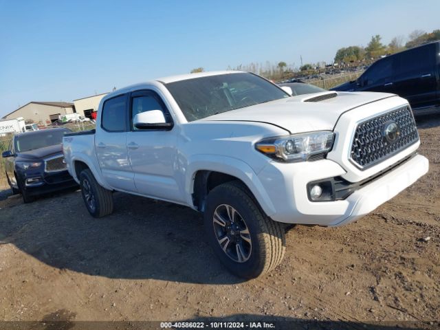 Photo 0 VIN: 3TMCZ5AN7KM270840 - TOYOTA TACOMA 