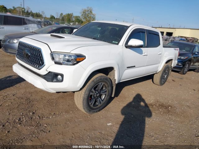 Photo 1 VIN: 3TMCZ5AN7KM270840 - TOYOTA TACOMA 