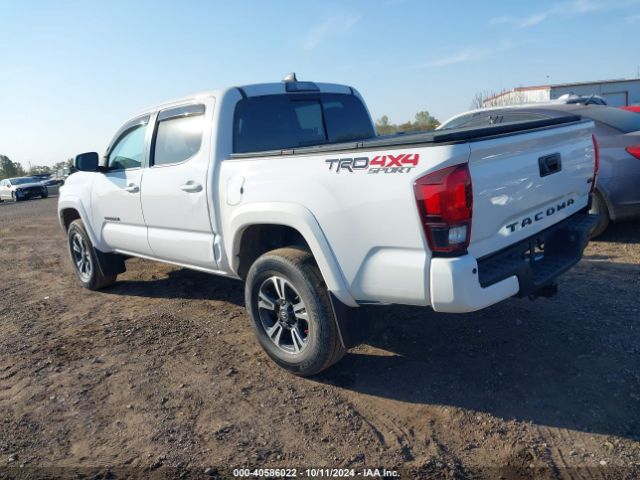 Photo 2 VIN: 3TMCZ5AN7KM270840 - TOYOTA TACOMA 