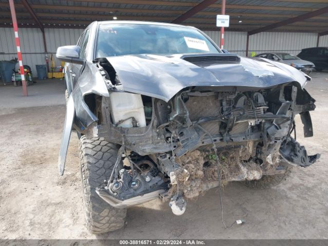 Photo 5 VIN: 3TMCZ5AN7LM312800 - TOYOTA TACOMA 