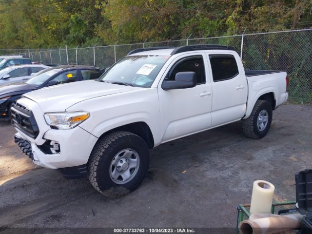 Photo 1 VIN: 3TMCZ5AN7LM360748 - TOYOTA TACOMA 