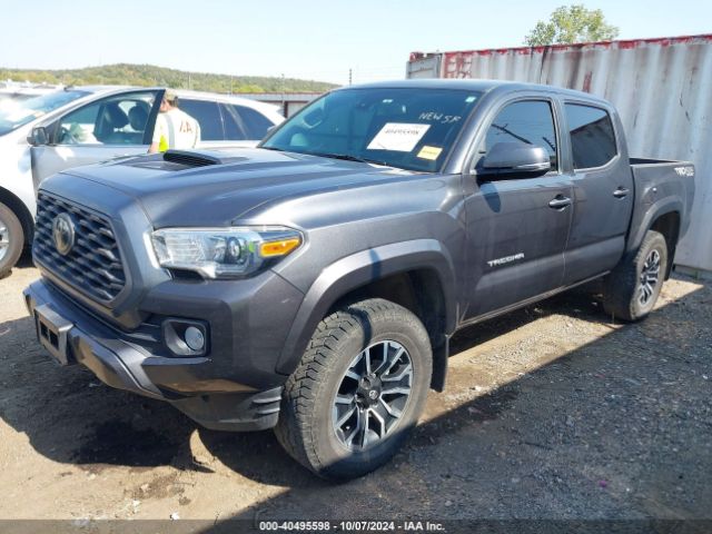 Photo 1 VIN: 3TMCZ5AN7MM425423 - TOYOTA TACOMA 