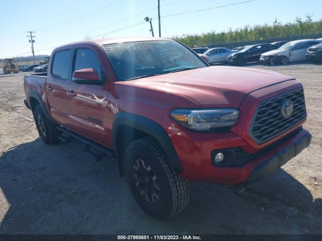 Photo 0 VIN: 3TMCZ5AN7PM604579 - TOYOTA TACOMA 