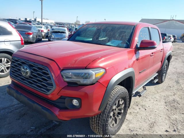 Photo 1 VIN: 3TMCZ5AN7PM604579 - TOYOTA TACOMA 