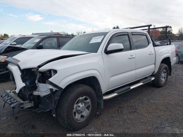 Photo 1 VIN: 3TMCZ5AN8HM061485 - TOYOTA TACOMA 