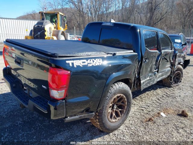 Photo 3 VIN: 3TMCZ5AN8HM082613 - TOYOTA TACOMA 