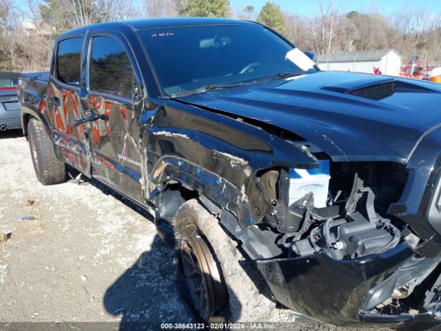 Photo 5 VIN: 3TMCZ5AN8HM082613 - TOYOTA TACOMA 