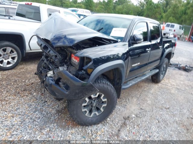 Photo 1 VIN: 3TMCZ5AN8KM189202 - TOYOTA TACOMA 