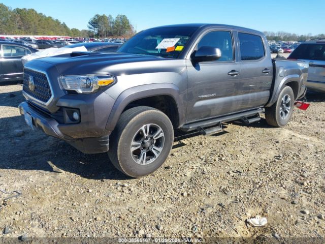 Photo 1 VIN: 3TMCZ5AN8KM224627 - TOYOTA TACOMA 