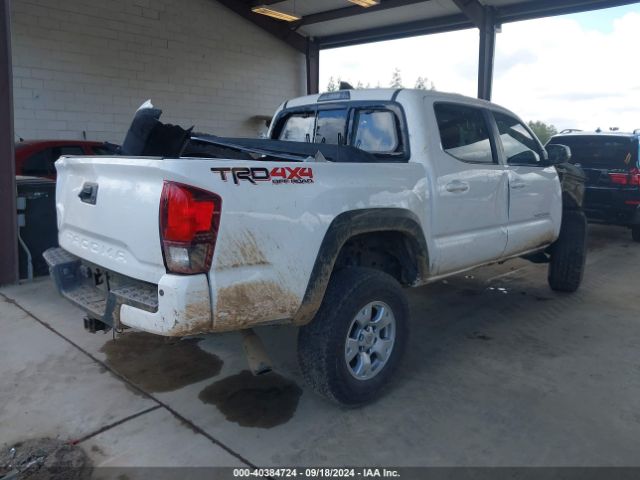 Photo 3 VIN: 3TMCZ5AN8KM269972 - TOYOTA TACOMA 