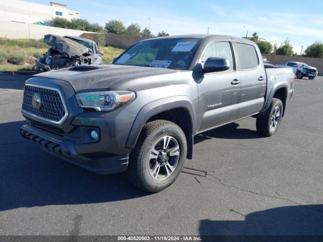 Photo 1 VIN: 3TMCZ5AN8KM287405 - TOYOTA TACOMA 