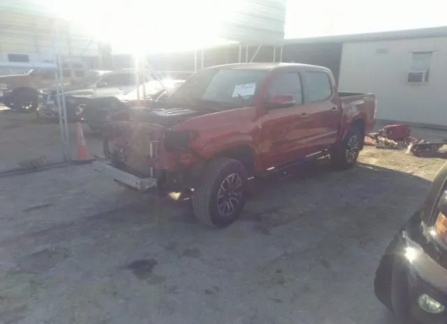 Photo 1 VIN: 3TMCZ5AN8LM344266 - TOYOTA TACOMA 4WD 