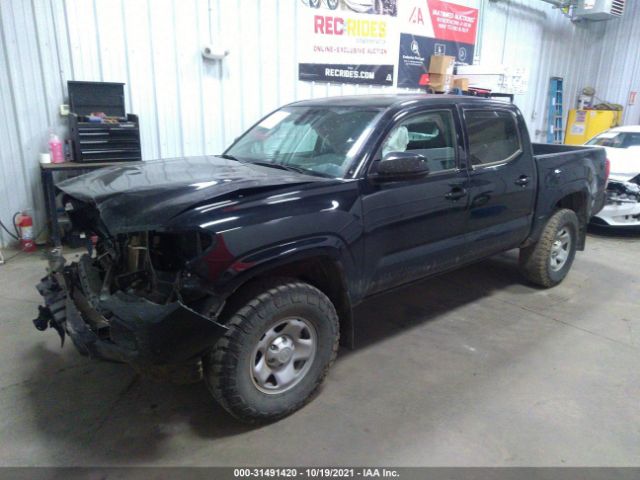 Photo 1 VIN: 3TMCZ5AN8MM390245 - TOYOTA TACOMA 4WD 