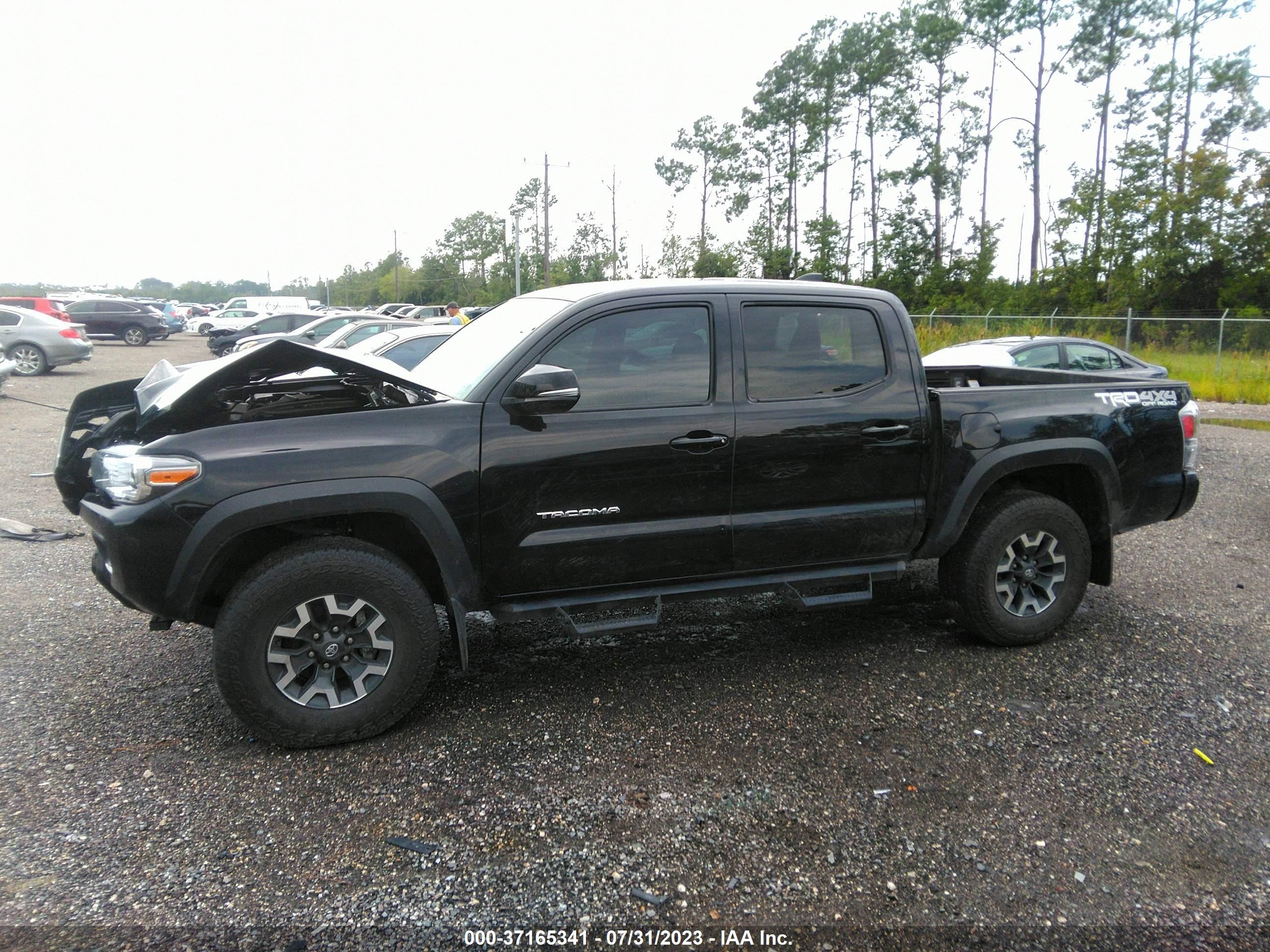 Photo 13 VIN: 3TMCZ5AN8NM480108 - TOYOTA TACOMA 