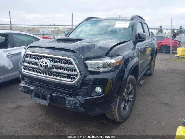 Photo 1 VIN: 3TMCZ5AN9HM081521 - TOYOTA TACOMA 