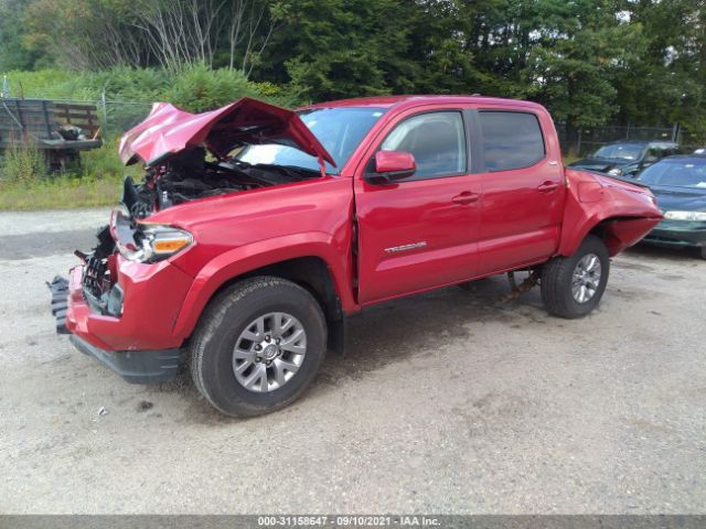 Photo 1 VIN: 3TMCZ5AN9HM106174 - TOYOTA TACOMA 