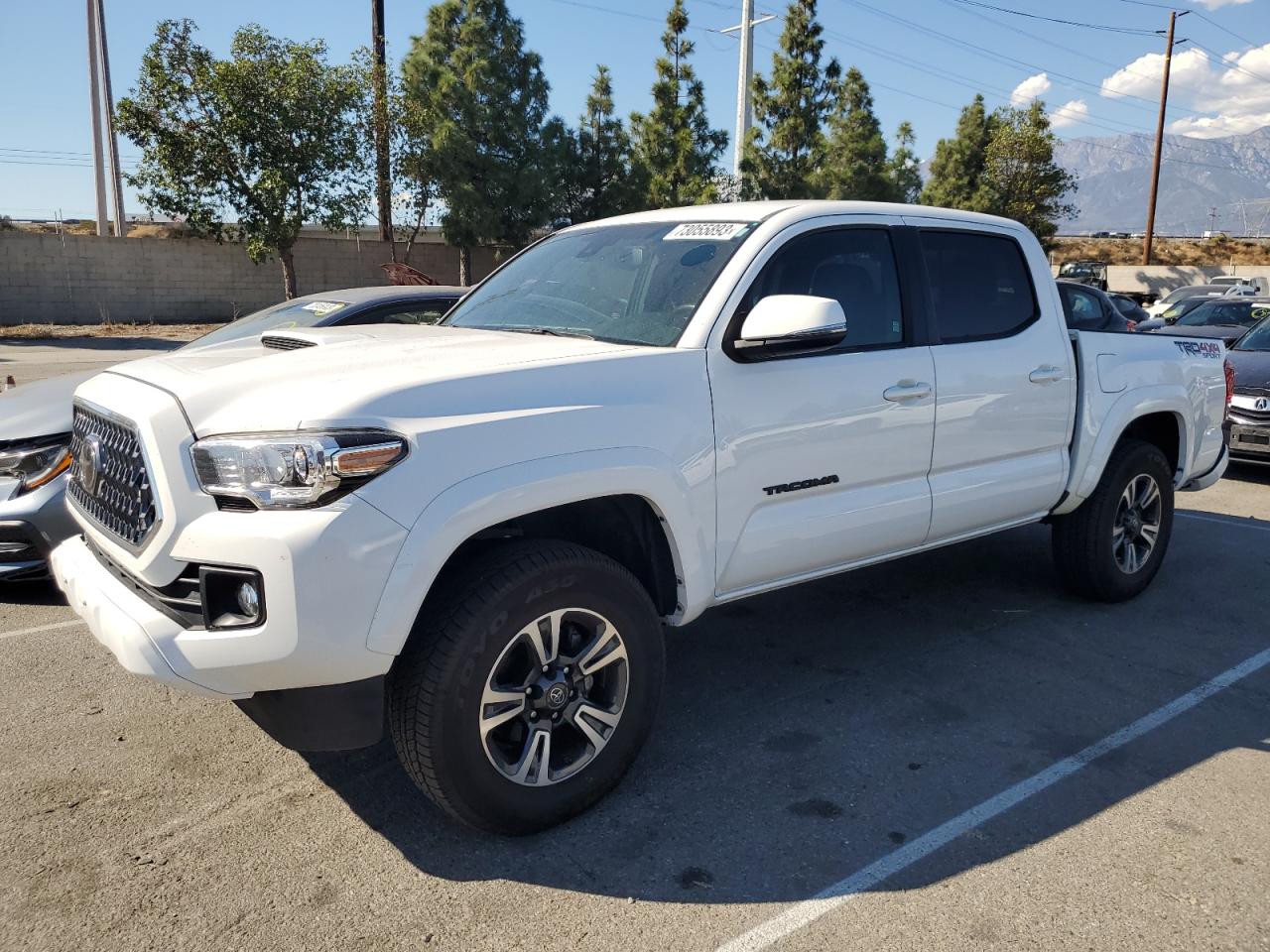 Photo 0 VIN: 3TMCZ5AN9KM239198 - TOYOTA TACOMA 