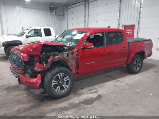 Photo 1 VIN: 3TMCZ5AN9KM275389 - TOYOTA TACOMA 