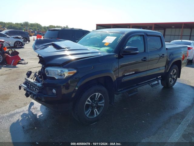 Photo 1 VIN: 3TMCZ5ANXHM065120 - TOYOTA TACOMA 