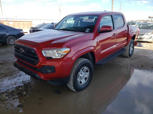 Photo 0 VIN: 3TMCZ5ANXKM279709 - TOYOTA TACOMA 