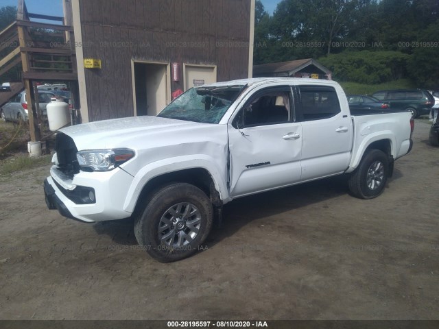 Photo 1 VIN: 3TMCZ5ANXKM283954 - TOYOTA TACOMA 4WD 