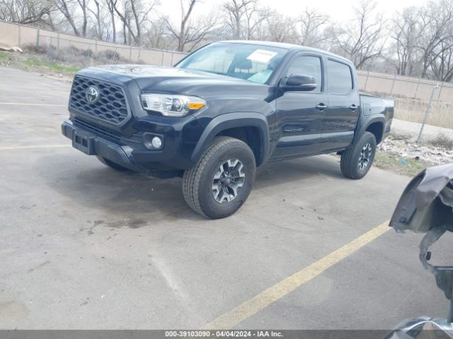 Photo 1 VIN: 3TMCZ5ANXLM316341 - TOYOTA TACOMA 