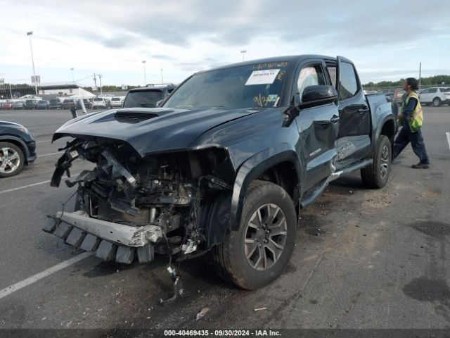 Photo 1 VIN: 3TMCZ5ANXMM371339 - TOYOTA TACOMA 