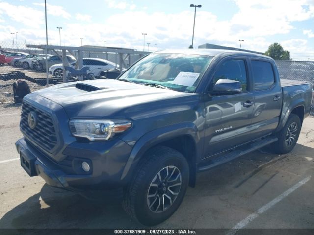 Photo 1 VIN: 3TMCZ5ANXMM388917 - TOYOTA TACOMA 4WD 