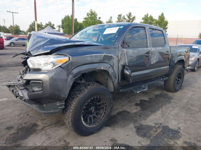 Photo 1 VIN: 3TMCZ5ANXMM391428 - TOYOTA TACOMA 